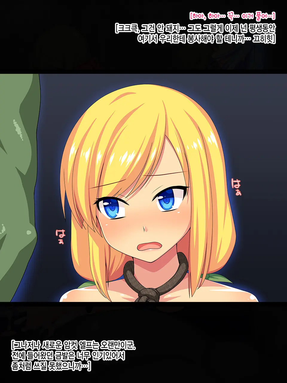 Elf No Otome Aselia ~Ishuzoku Nikubenki No Unmei~